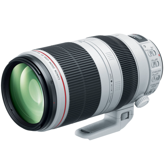 Canon EF 100-400mm f/4,5-5,6 L IS USM II