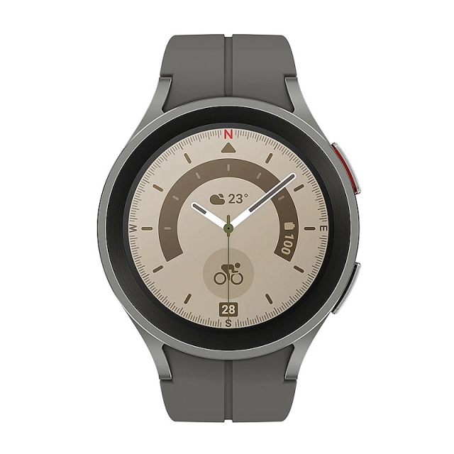 Samsung Galaxy Watch5 Pro 45mm SM-R920 Gray Titanium