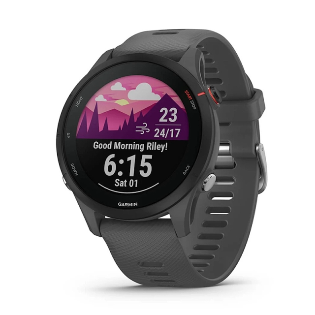 Garmin Forerunner 255 Slate Gray (010-02641-10)