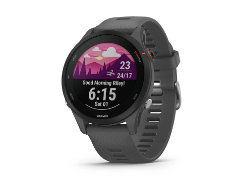 Garmin Forerunner 255 Slate Gray (010-02641-10)
