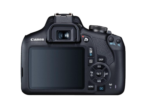 Canon EOS 2000D + Canon 18-55mm DC III.Picture2