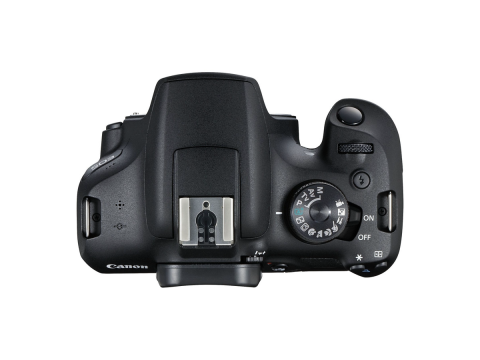 Canon EOS 2000D + Canon 18-55mm DC III.Picture3