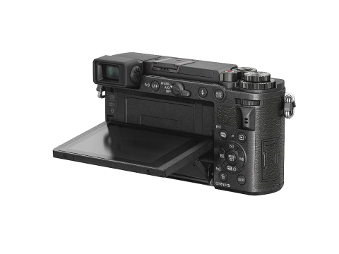Panasonic Lumix DC-GX9 + Lumix G Vario 14 - 140 mm / F3.5 - 5.6 ASPH.Picture5