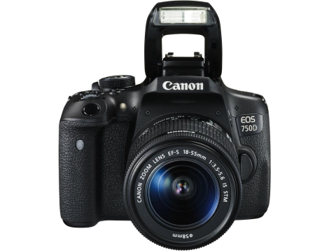 Canon EOS 750D + 18-55 IS STM + 75-300 III.Picture4