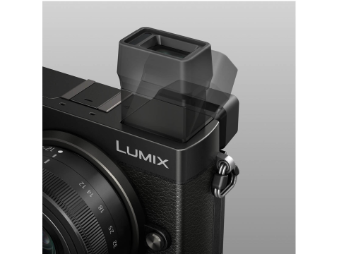 Panasonic Lumix DC-GX9 + 12-32 mm.Picture5