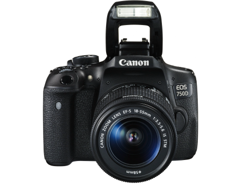 Canon EOS 750D + EF-S 18-55 IS STM.Picture4