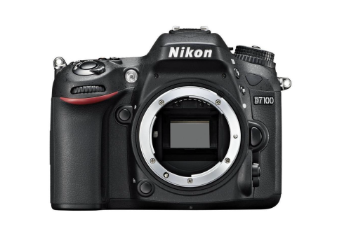 Nikon D7100 + 18-55 AF-P VR.Picture3