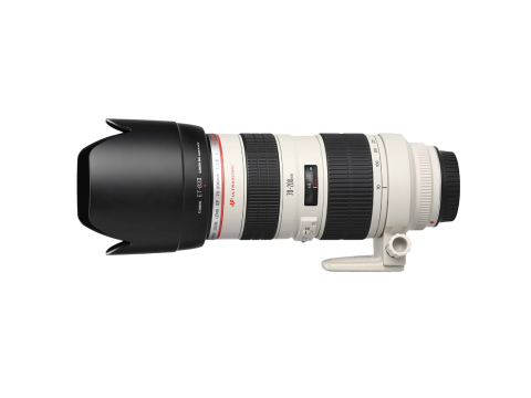Canon EF 70-200mm f/2.8L USM.Picture2