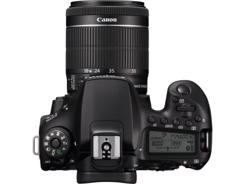 Canon EOS 90D + EF-S 18-55mm f/3.5-5.6 IS STM.Picture6