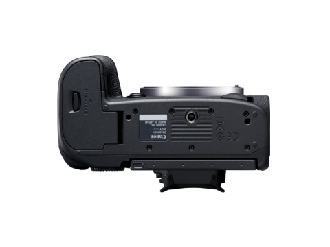 Canon EOS R5.Picture3