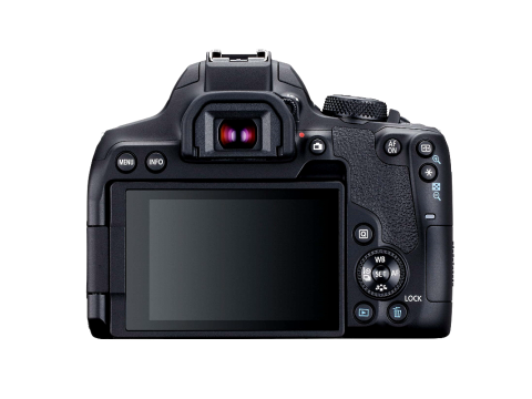 Canon EOS 850D + EF-S 18-55 mm f/3.5-5.6  IS STM.Picture3