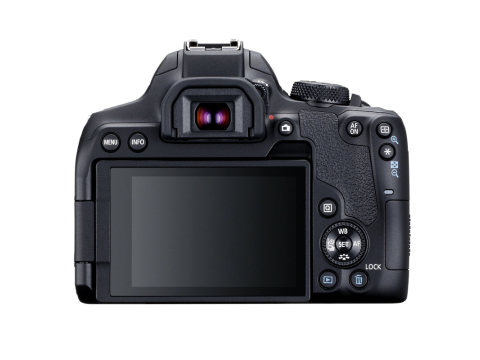 Canon EOS 850D + EF-S 18-135 mm f/3.5-5.6  IS USM.Picture2