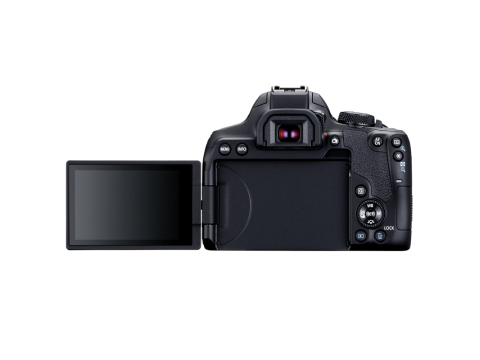Canon EOS 850D + EF-S 18-135 mm f/3.5-5.6  IS USM.Picture4