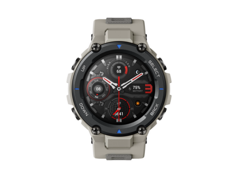 Amazfit T-Rex Pro, Grey.Picture2