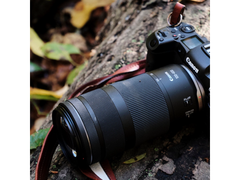 Canon RF 100-400mm F5.6-8 IS USM.Picture3