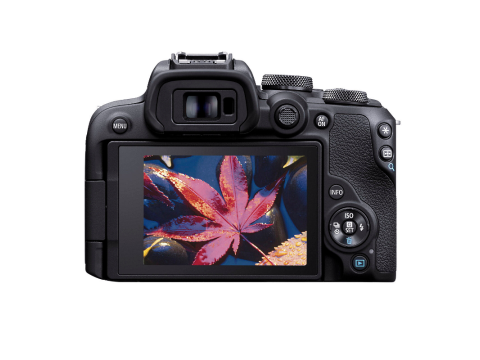 Canon EOS R10 + RF-S 18-45mm 4.5-6.3 IS STM.Picture2