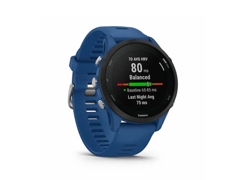 Garmin Forerunner 255 Tidal Blue (010-02641-11).Picture2