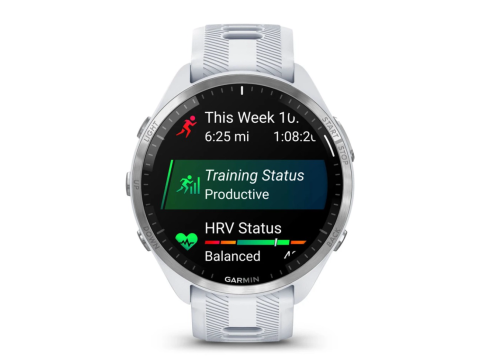 Garmin Forerunner 965 White/Grey (010-02809-11).Picture2