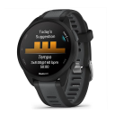 Garmin Forerunner 165 Black/Slate grey (010-02863-20).Picture2