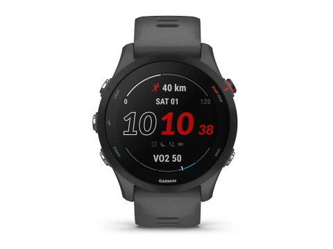 Garmin Forerunner 255 Slate Gray (010-02641-10).Picture2